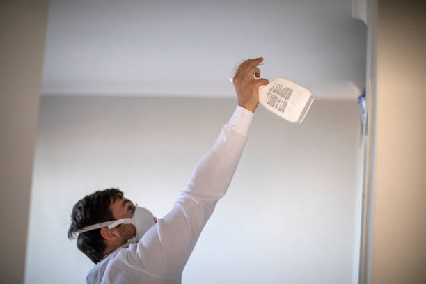 Best Mold Damage Repair  in Carrollton, GA