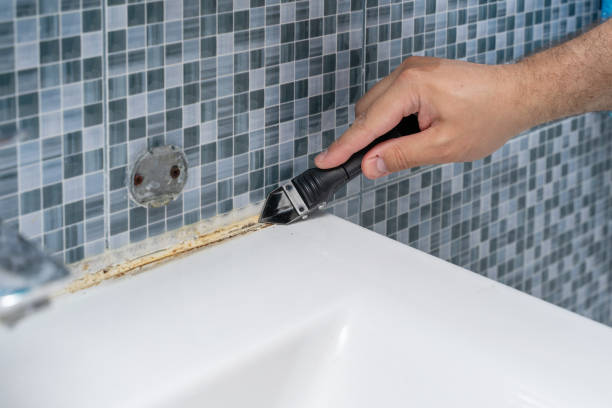 Certified Mold Removal in Carrollton, GA
