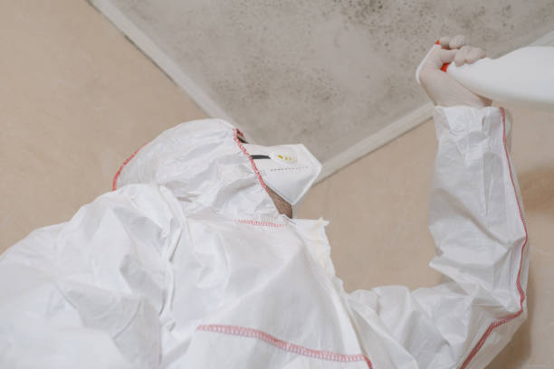 Best Certified Mold Removal  in Carrollton, GA
